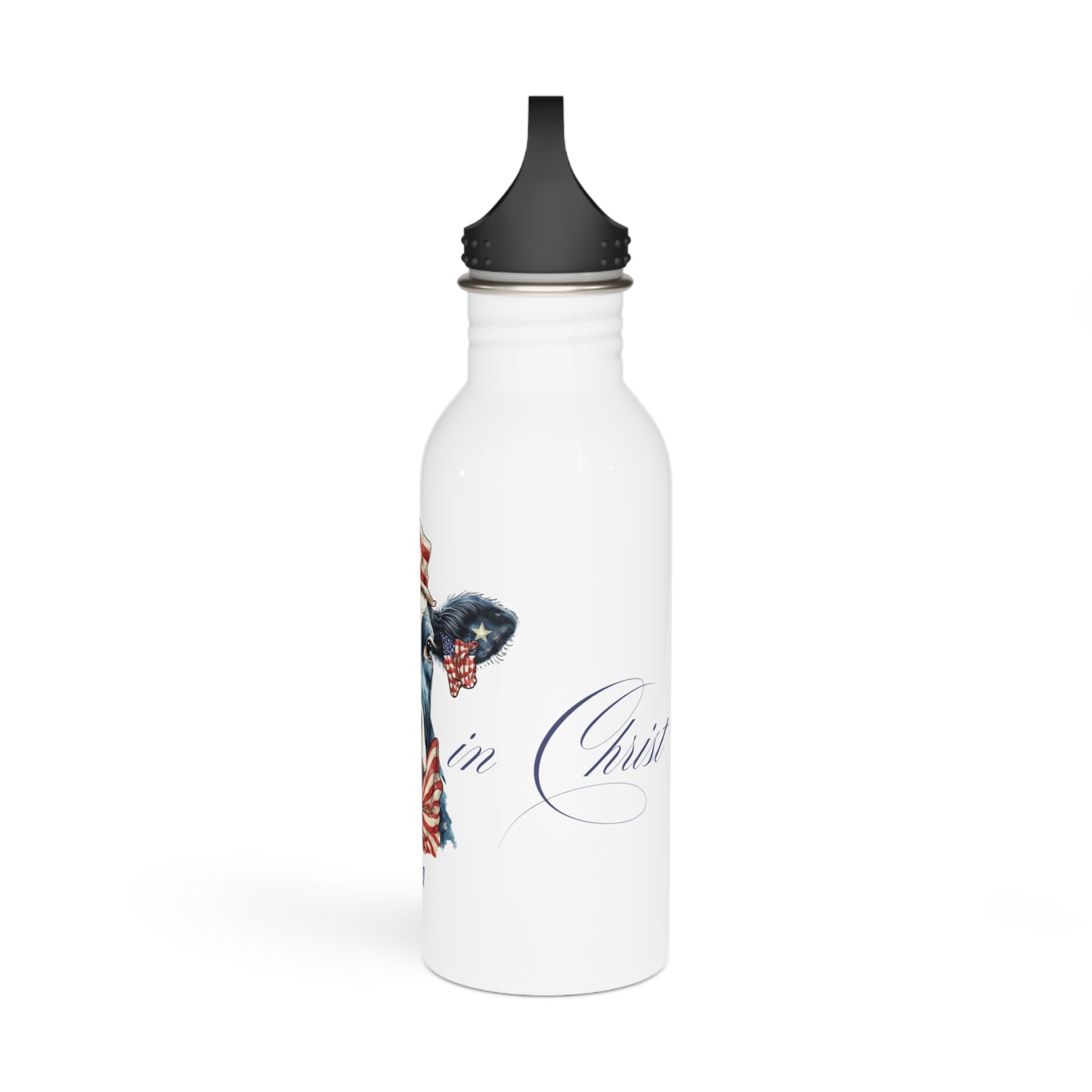 Stainless Steel Water Bottle