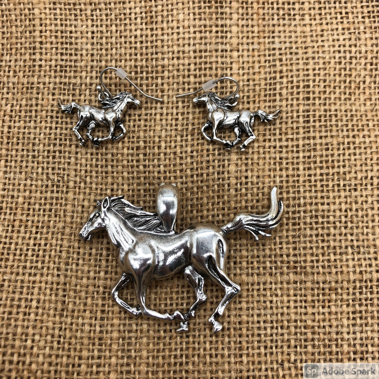 Horse Earrings and Magnetic Pendant