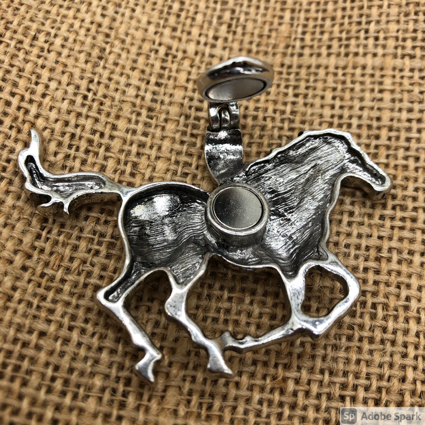 Horse Earrings and Magnetic Pendant